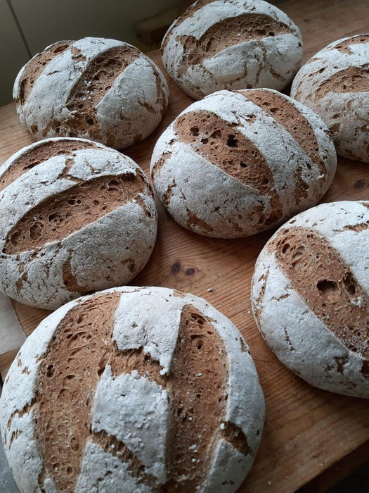 Hausbrot Backmischung - gluten/laktosefrei 3 kg - Vital Gourmet